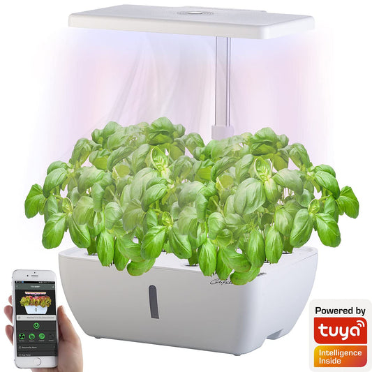 Carlo Milano Grow Lamp: Smart Wi-Fi propagation system for 12 plants, growth LEDs, app, 7l (Smart Garden, Propagation Box, Indoor Garden hydroponic)