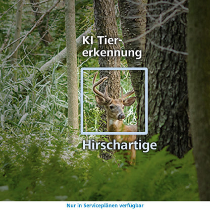 Zeiss Secacam 3-4er Pack - 4G Premium Trail Camera with Mobile Transfer App, SIM card, 32GB internal memory, 940nm LEDs, APP control, motion sensor Night Vision