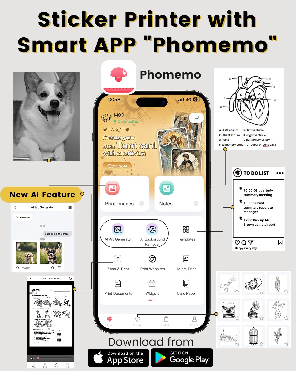 Phomemo M03 Sticker Printer, Mini Printer for Smartphone Portable Thermal Printer, 53 and 80mm Instant Print, Compatible with Mobile Phones and Tablets, for Study, Photos, Scrapbooking, Stickers - White