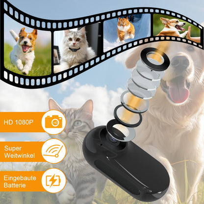 Dog camera Cat camera Collar Pet Camera with 16GB SD Card, Cat collar Dog collar Adjustable with Mini Storage Camera, HD 1080P Dog Cat Surveillance Camera Pet Camera Outdoor/Indoor