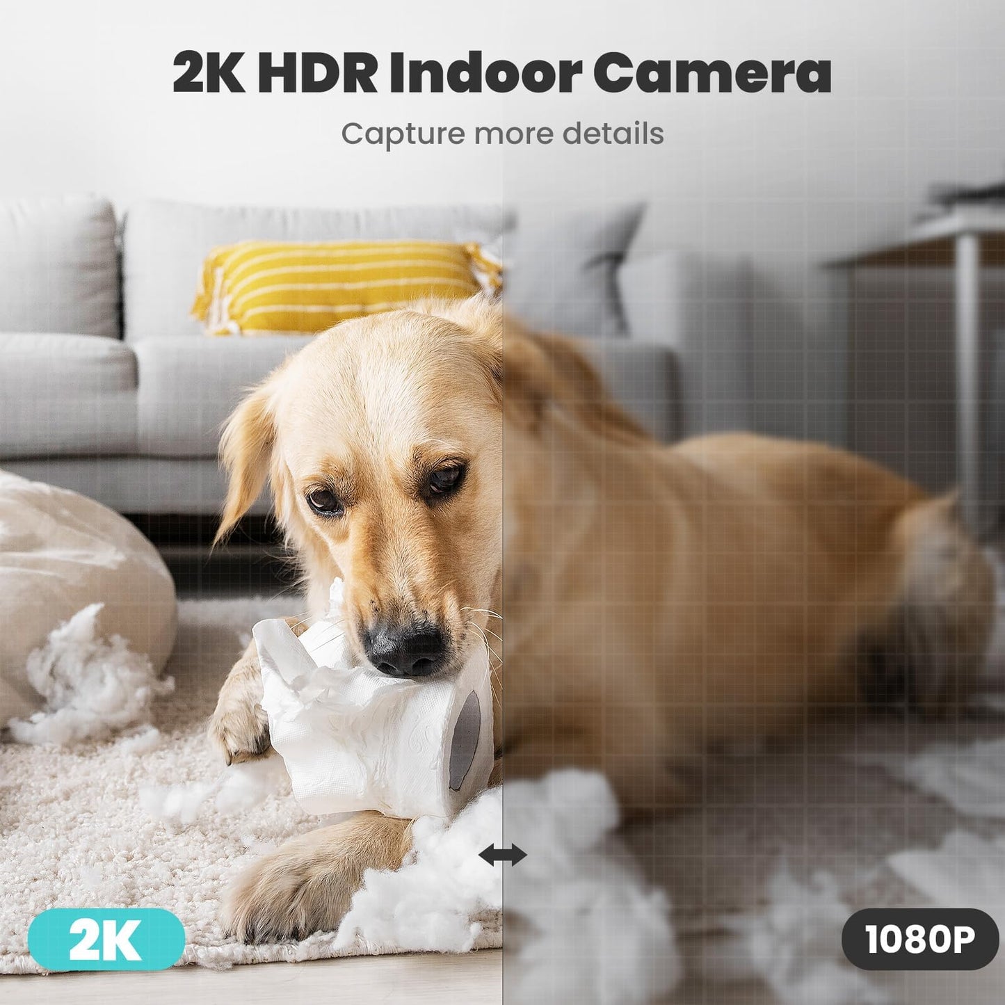 litokam Little Elf Surveillance Camera, 2K Baby Monitor Camera with Motion Detection, WiFi Camera Surveillance Indoors with Night Vision, 360° Dog Camera with APP 2-Way Audio, for SD & Cloud Storage