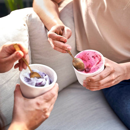 SPRINGLANE 4-Pack Ice Cream Tubs 400ml, Storage Containers, Freezer Bins, Ice Container BPA-free in food grade quality.