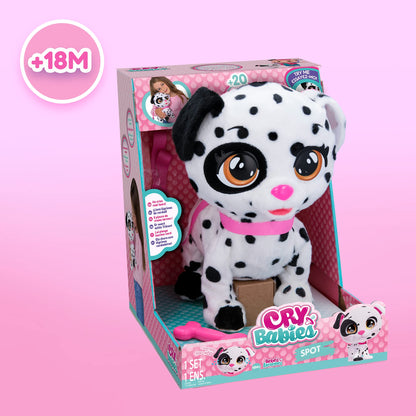 Cry Babies Magic Tears Dalmatian Dotty Pet Spot, interactive dog that really walks and cries, toy and optimal gift for girls and boys +3 years.