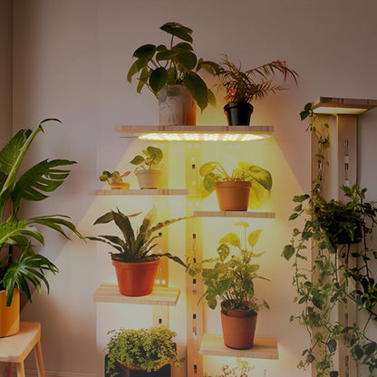 EWITTTI Plant Lamp LED Full Spectrum, Plant Light for Seed Starting, 316 LEDs Plant Grow Light for Indoor Plants with 3/9/12H Timer, 10 Levels of Brightness (4pcs)