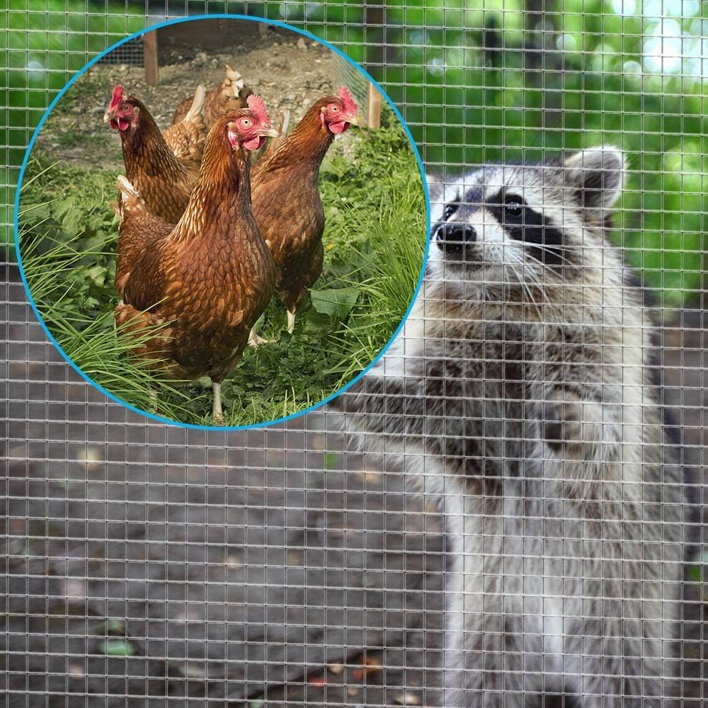 Amagabeli Wire Mesh 1m X 25m, Galvanized & Rustproof (12x12mm) - For Raised Bed, Aviary, Rabbit Fence, Mole Protection | Easy to Cut & Weatherproof