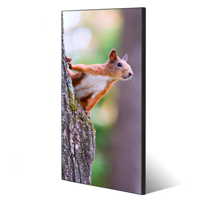 banjado® Magnetic Board 37 x 78cm / Metal Magnet Board/Memo Board/Pin Board Magnetic Board for Kitchen, Office, Kids Room including 4 Magnets & Mounting Kit - Squirrel Design