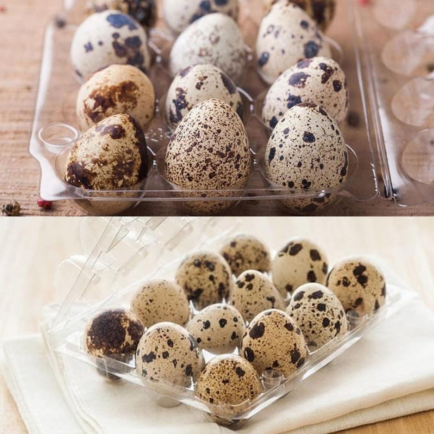 APACALI 100pcs Quail Egg Cartons, Quail Egg Cartons 6 Grids, Plastic Quail Egg Cartons with Lid, Transparent Quail Egg Cartons