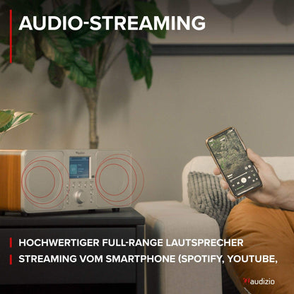 Audizio Genoa DAB radio with Bluetooth - stereo DAB Plus radio with remote control, 60 memory slots, auto scan, line-out, USB, ideal for home and on the go, easy operation - silver.