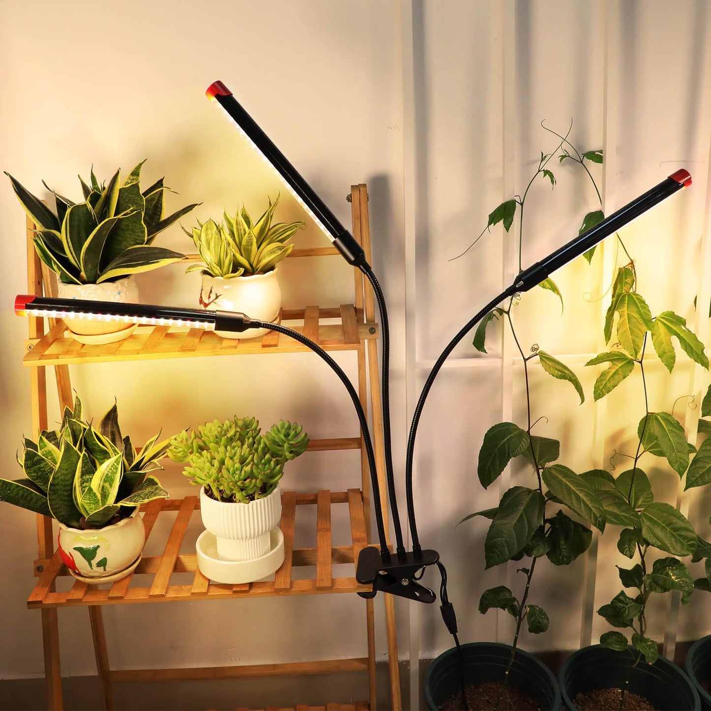 FRGROW LED Plant Lamp 18W, Full Spectrum Plant Light for indoor plants, Plant Light, Growth Lamp for plants vegetables, Precise Timer Plant Lamps Focus Function
