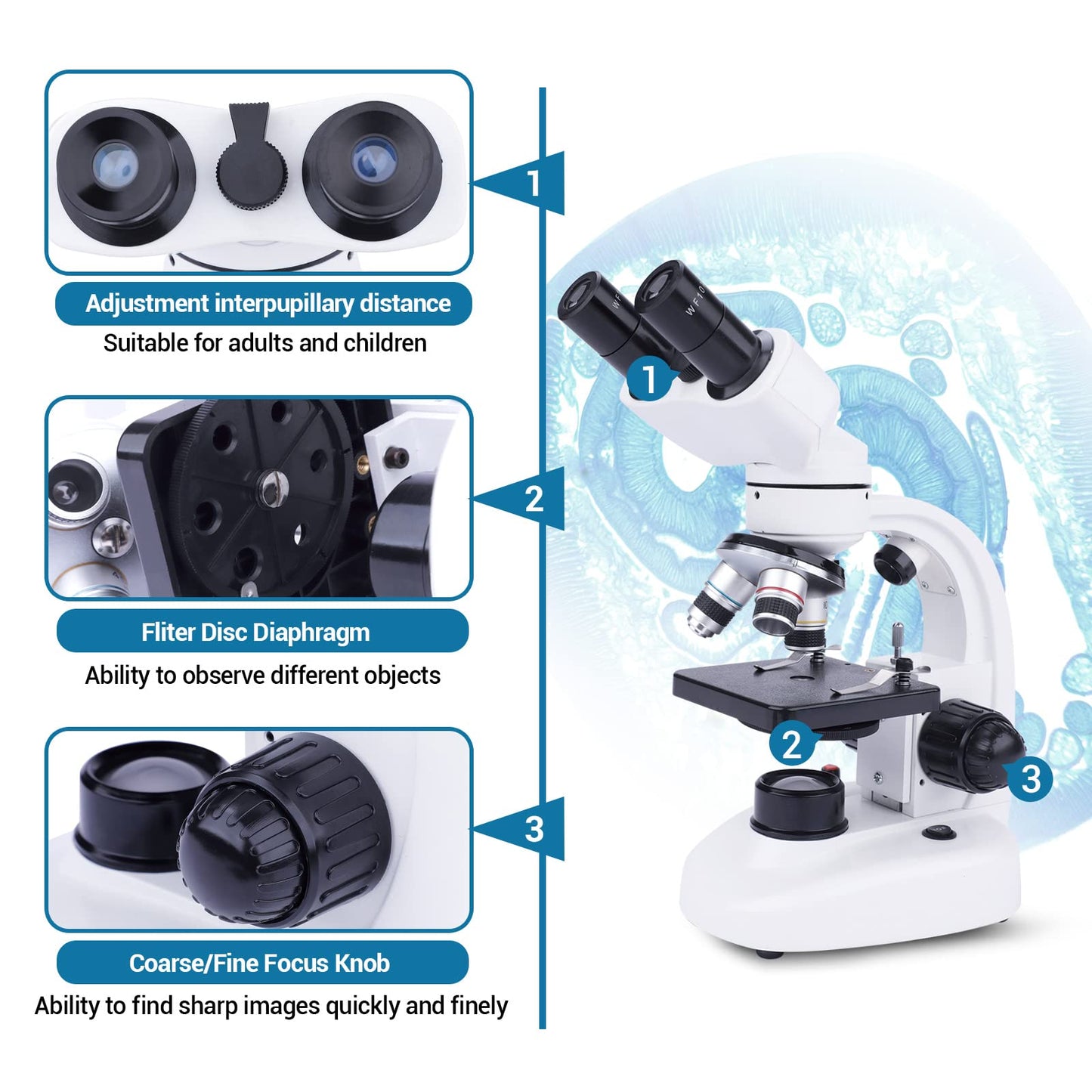 MAXLAPTER Binocular Microscope for Adults Kids, 40X-1000X Compound Microscope with Storage Bag Slides Phone Adapter and Accessories, for Teaching Laboratory Hobbyist Applications