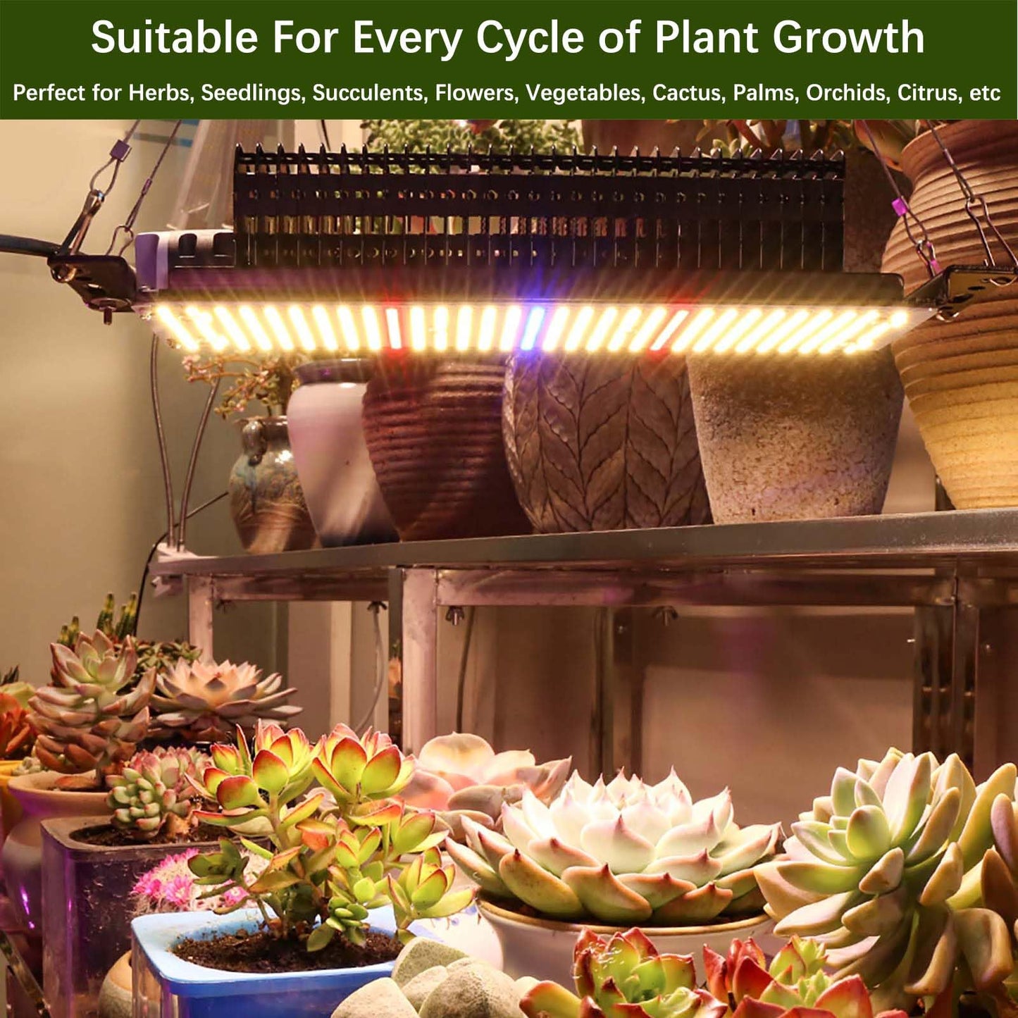 500W Full Spectrum LED Plant Lamp, Warmer White LED Growth Lights, Upgrade PPFD 800 μmol/s/㎡ Grow Light for Indoor Plants Seedling Gardens Flowers