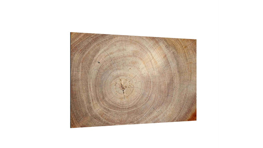 ALLboards Glass Magnetic Board Tree Trunk Nature Tree Core 60x40cm Glass Picture Memo Board made of glass Glass board with tree trunk design Magnetic wall for writing Magnetic board Wall decoration Wall art Neodymium magnets