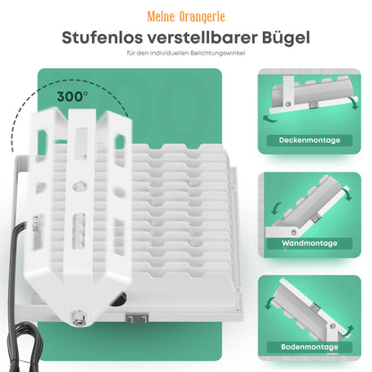 My Orangery - LED plant lamp for overwintering Mediterranean plants - Developed with citrus plant experts Full spectrum plant light (20)