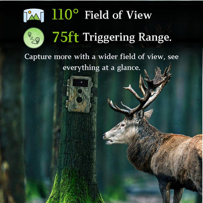 BlazeVideo 48MP wildlife camera with night vision, 1296P H.264 MPV video, motion detector, night vision, time-lapse, IP66 waterproof and 2.4" screen.