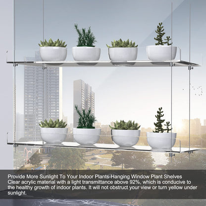 ZerzSemp Hanging Acrylic Plant Shelves for Windows, adjustable height, transparent, hanging indoor window, wall-mounted, plant tray for kitchen, bedroom, for growing herbs.