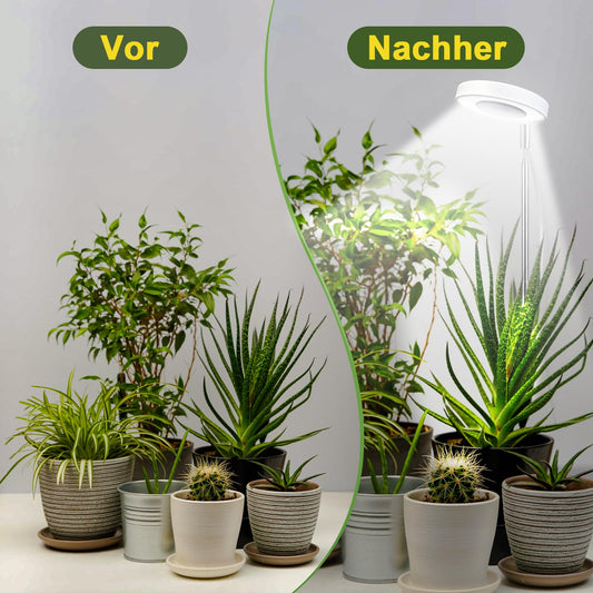 Cieex 2 Pack Plant Lamp Led Full Spectrum, Plant Lamp for Indoor Plants, Plant Light, Plant Lamp with Auto Timer, USB Adapter 4 Brightness Adjustable Height