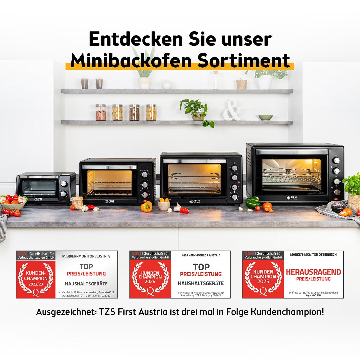 TZS First Austria - Mini Oven 60L 2000W - Mini Oven Pizza Oven Temperature control up to 230°C & 6 modes - Spacious mini oven with 60 Min. Timer, 4 rack heights, baking tray, grill rack & rotisserie