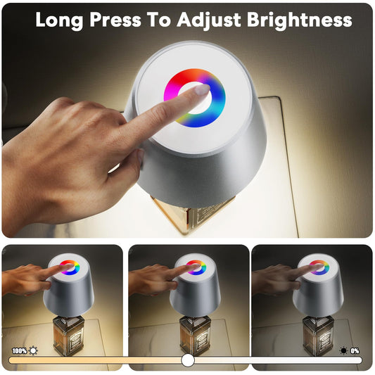 Keepoo LED battery table lamp Dimmable bottle lamp Warm White 8 colors RGB with 5200 mAh, IP54 Wireless touch table lamp for indoor and outdoor, Portable Metal for restaurant & bar (Silver Grey)