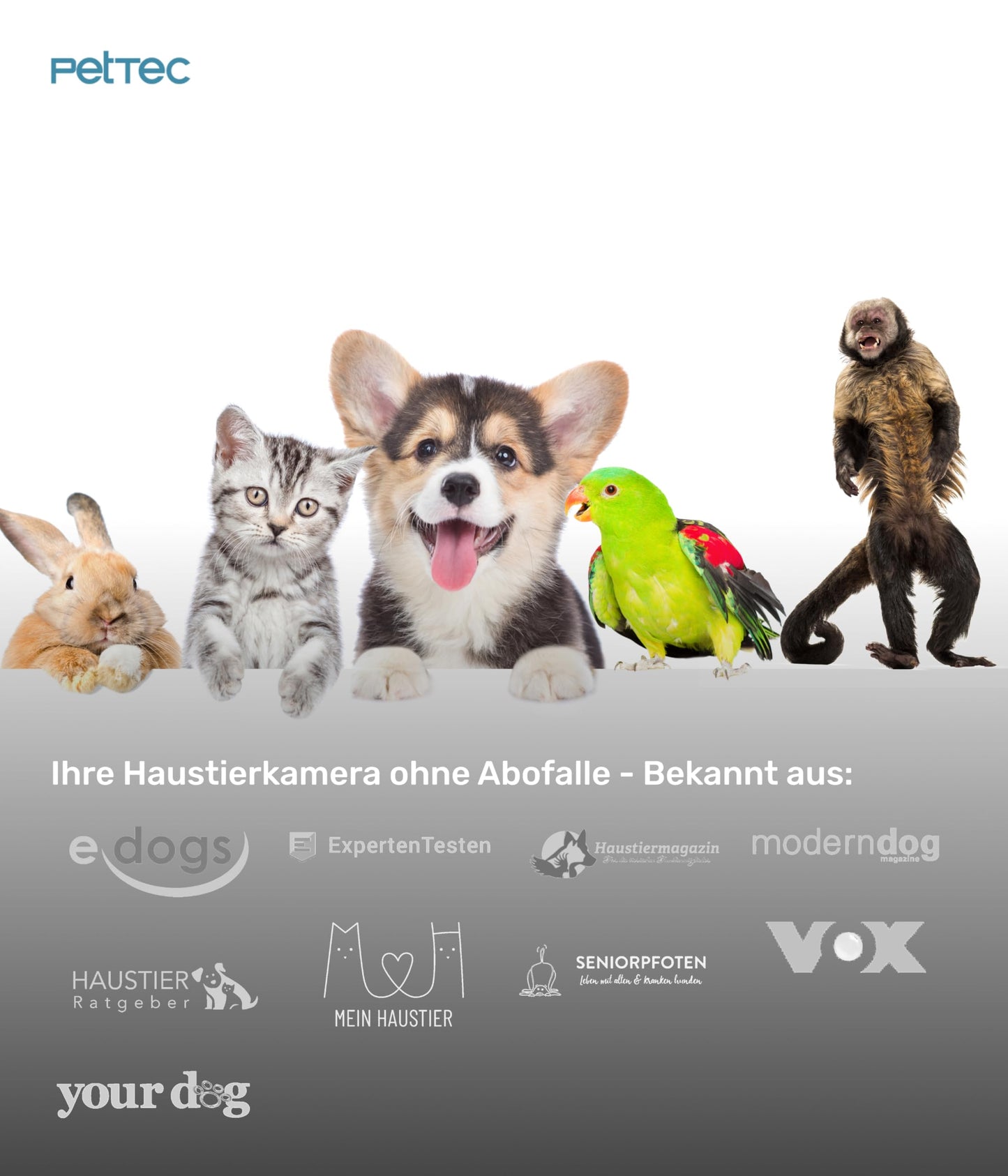 PetTec® Cam 360° pet camera dog camera with App [NO SUBSCRIPTION TRAP] - Cats & Dogs Camera at Home with motion detection & night vision function - Full HD 360° panoramic view swivel & tilt - Pet Cam