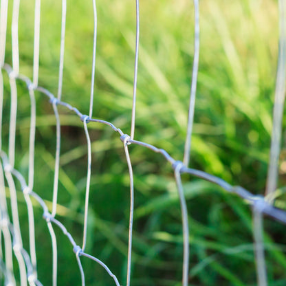 Panorama24 Game Fence 100/12/15 50m Garden Fence, Game Fence, Pasture Fence, Forestry Fence, Wire Fence, Knot Mesh, STRONG AGAINST Deer, Roe Deer, Wild Boar, Badgers, Rabbits & more Wildlife & Pests
