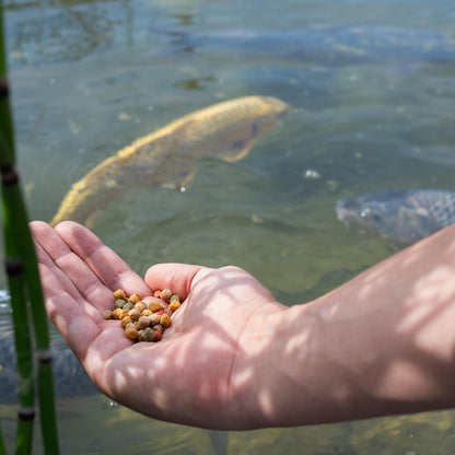 AquaForte High-quality floating staple food for ornamental fish 15kg (± 40 liters) Medium Pellets 6mm, Four different fish pellets, Crude protein: 32.3%, Crude fat: 4%, Crude fiber: 4.5%, Ash: 5.6%