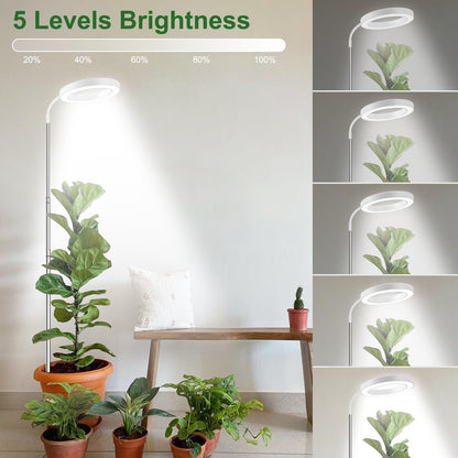 wolezek Plant Lamp LED Full Spectrum, 80 LEDs 6500K Grow Light, 160cm Large Grow Lamp, 3 Colors Plant Light with 360° Gooseneck, 6/12/16H Timer, 5 Brightness, Adjustable Height, White