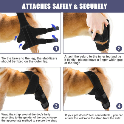 KINBOM Dog Knee Brace for Hind Leg, Dog Hind Leg Brace Dog ACL Brace Hind Leg Dog Knee Support for Dog ACL Brace Hind Leg (Black, Size L)