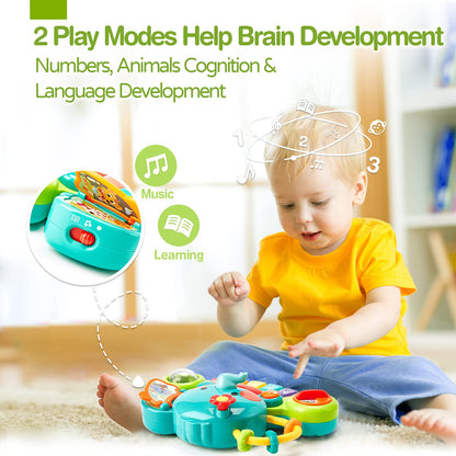 Hahaland baby toy for 6 months old girls, elephant musical toy motor skills toy, musical instruments with light & sound children keyboard baby toy for 1 year old girls boys.