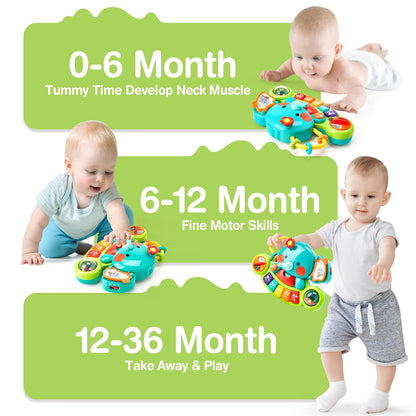 Hahaland baby toy for 6 months old girls, elephant musical toy motor skills toy, musical instruments with light & sound children keyboard baby toy for 1 year old girls boys.