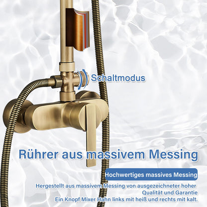 Rozin Antique Brass Shower System with 8 inch Rain Shower Head and Hand Shower Single Handle Wall Mounted Retro Shower Set.