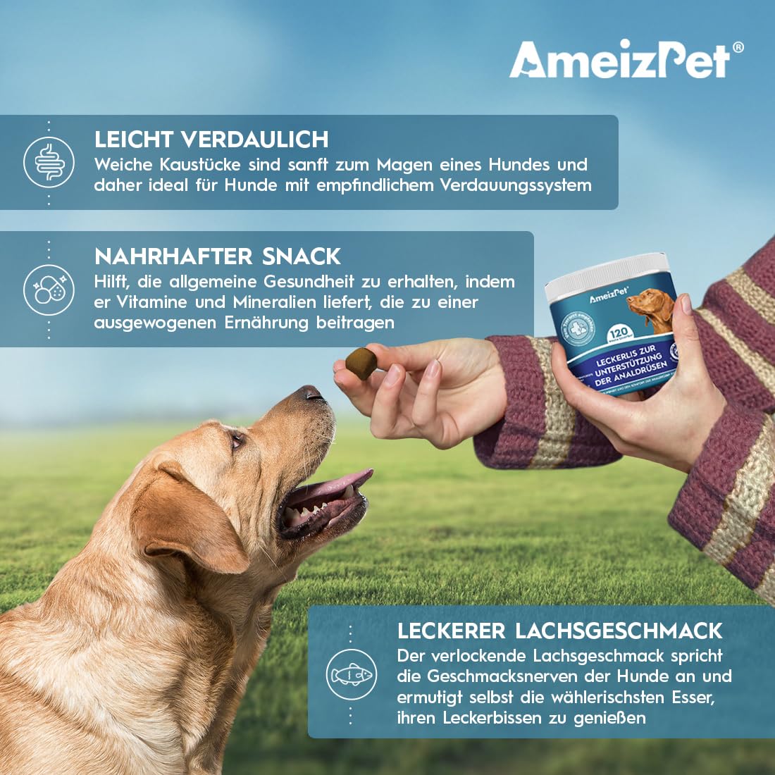 AmeizPet Soft Dog Treats Anal Gland Relief Salve, Digestion Snacks for Dogs, 120 Dog Treats