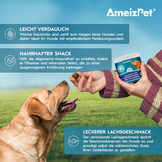 AmeizPet Soft Dog Treats Anal Gland Relief Salve, Digestion Snacks for Dogs, 120 Dog Treats