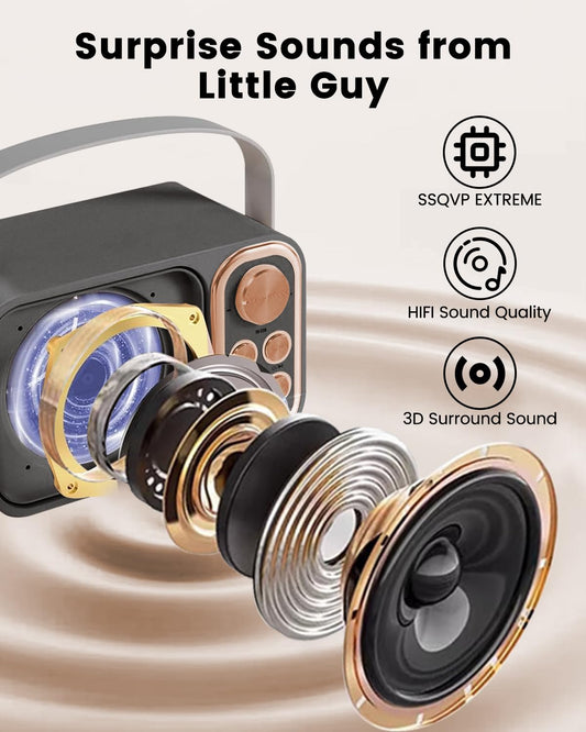 ALPOWL Karaoke Machine for adults and kids, karaoke system with one-click to cancel the original sound, PA speaker system and one UHF wireless microphone for home party, outdoor/indoor.