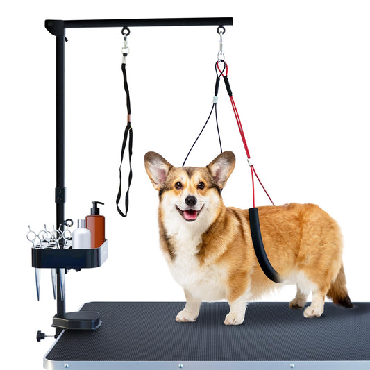 SHELANDY Grooming Arm with Clamp for large and small dogs, 35 inches, height adjustable, including Two Non-sitting Haunch Holder, Black
