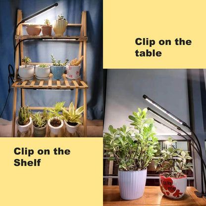 JINHONGTO 2-Pack Plant Lamp, 3-Head Plant Lamp LED Full Spectrum, Plant Light with Timer Auto ON/OFF, 3 Modes & 10 Dimming Levels.