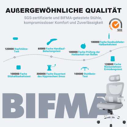BASETBL Ergonomic office chair with lumbar support and headrest, ergonomic desk chair with folding armrests, swivel chair, PC chair with height adjustment and rocking function, Gray