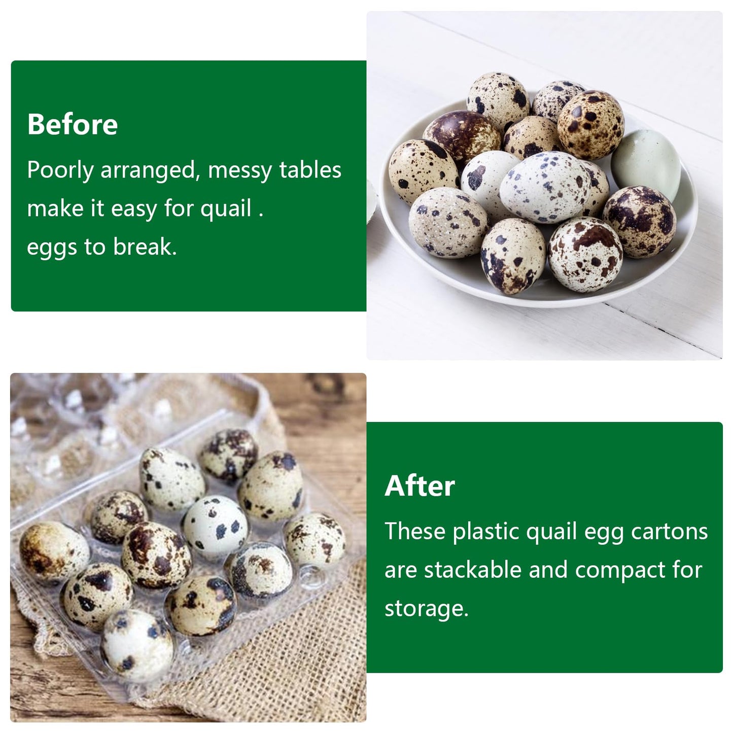 APACALI 100pcs Quail Egg Cartons, Quail Egg Cartons 6 Grids, Plastic Quail Egg Cartons with Lid, Transparent Quail Egg Cartons