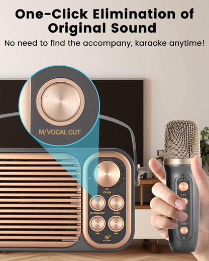 ALPOWL Karaoke Machine for adults and kids, karaoke system with one-click to cancel the original sound, PA speaker system and one UHF wireless microphone for home party, outdoor/indoor.
