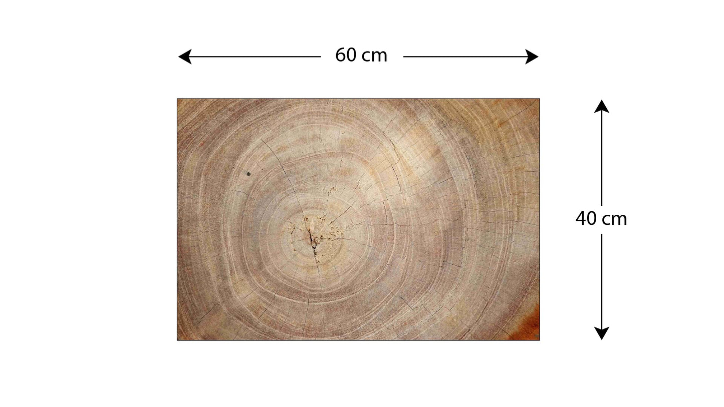ALLboards Glass Magnetic Board Tree Trunk Nature Tree Core 60x40cm Glass Picture Memo Board made of glass Glass board with tree trunk design Magnetic wall for writing Magnetic board Wall decoration Wall art Neodymium magnets