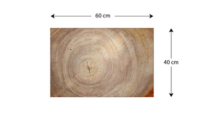 ALLboards Glass Magnetic Board Tree Trunk Nature Tree Core 60x40cm Glass Picture Memo Board made of glass Glass board with tree trunk design Magnetic wall for writing Magnetic board Wall decoration Wall art Neodymium magnets
