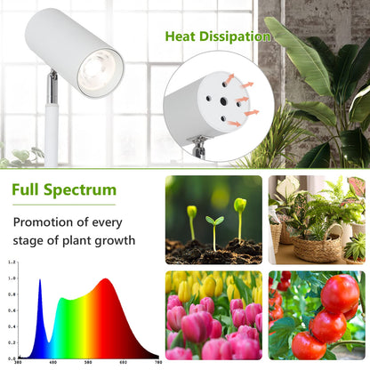 Rayofly LED Full Spectrum Plant Lamp, 20W White Grow Light for indoor plants, Adjustable height LED Grow Lamp with Timer 4/8/12H, Stand Grow Light for large plants or seeds.