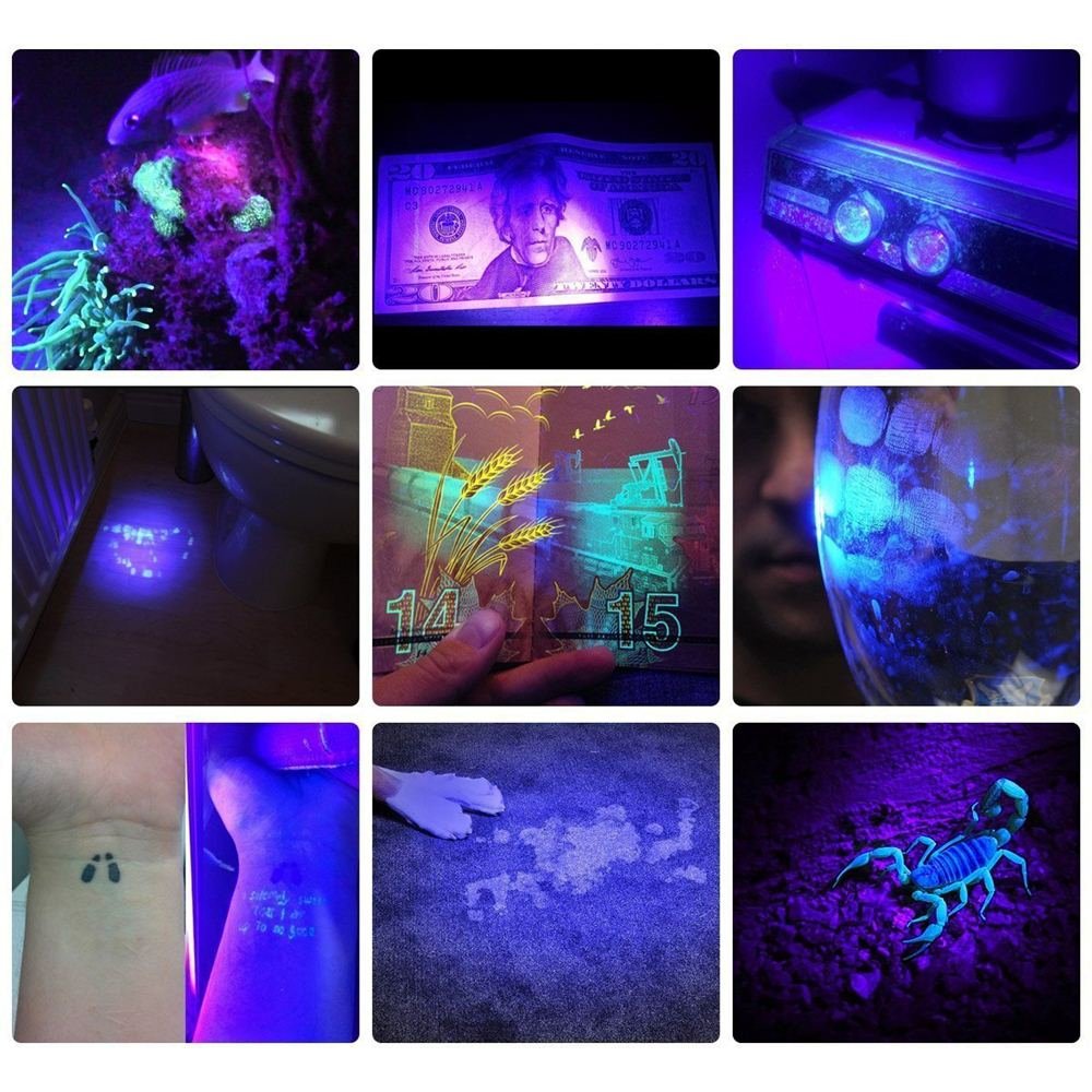Alonefire SV128 395nm UV flashlight 128 LED blacklight flashlight for scorpion, pet urine detector, dry stain, carpet, floor with UV-protection glasses, 6 x AA batteries included.