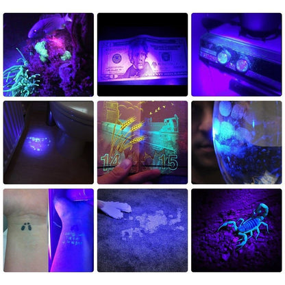 Alonefire SV128 395nm UV flashlight 128 LED blacklight flashlight for scorpion, pet urine detector, dry stain, carpet, floor with UV-protection glasses, 6 x AA batteries included.