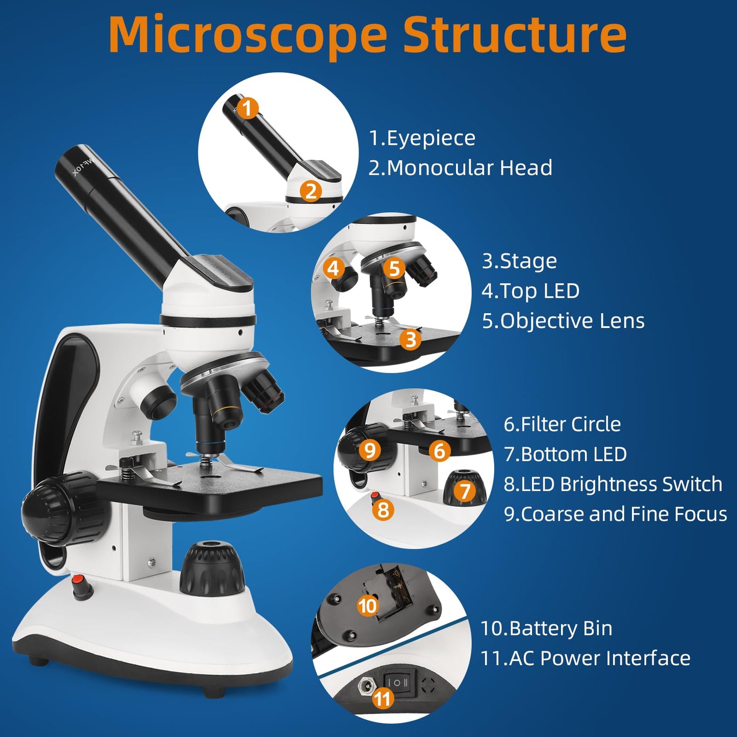 BEBANG Microscope for Kids Students Adults 40-2000x Magnification Professional Biological Microscopes, LED Illumination Educational Microscope with Kits, 15 Slides for Laboratory Class Study.