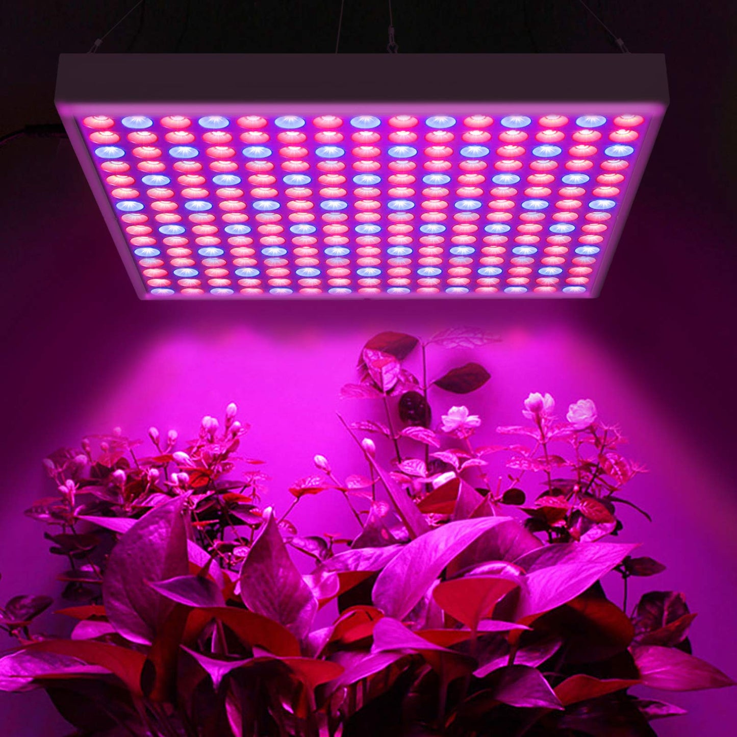 YRHome 45W LED Plant Lamp 225 LEDs Red&Blue Plant Indoor Garden Grow Light Plant Plant light Plant light Pendant light Growth lamp 310 * 310 * 35mm 2835 LED Chip (1X45w)