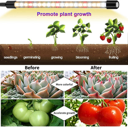 Garpsen Plant Lamp, 80 LEDs Grow Light, 4 Heads Full Spectrum Led Plant Light for Indoor Plants with Auto ON & Off Timer 4/8/12H, 3 Modes, 10 Brightness Levels.
