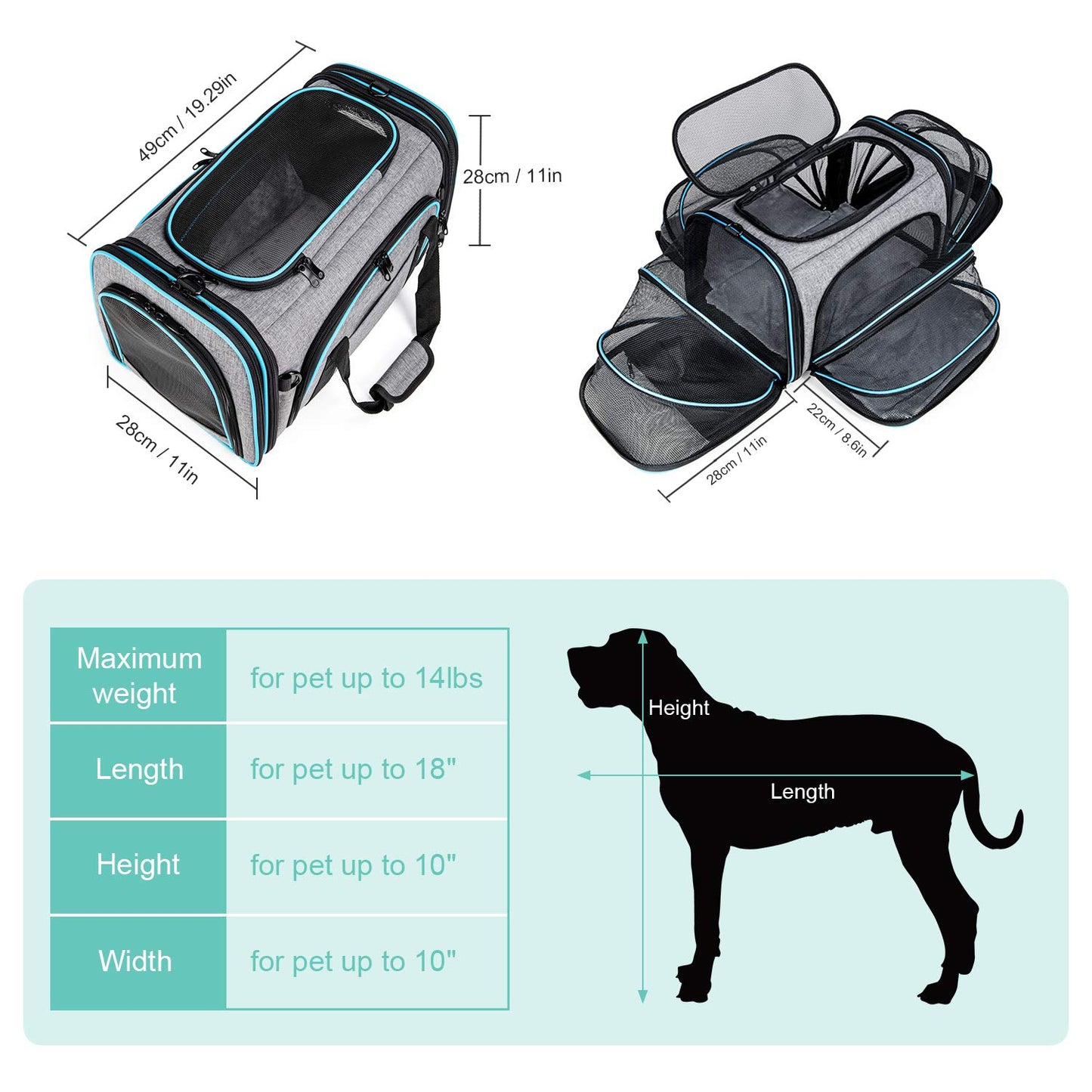 BERTASCHE Transport bag for cats Small dogs Foldable Cat carrier Transport box for plane Car Travel