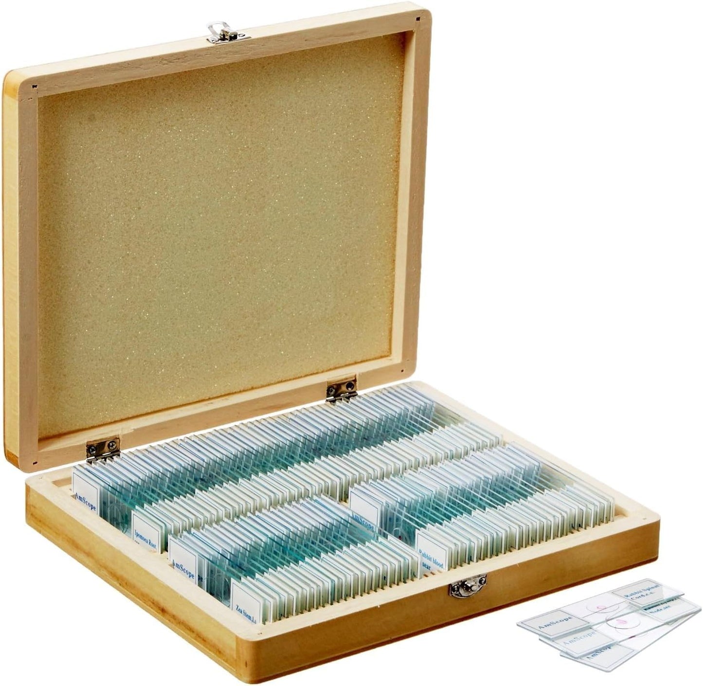 AmScope PS100A Prepared Slide Set for Biological Science Basic Education, 100 slides, Set A, including wooden case.