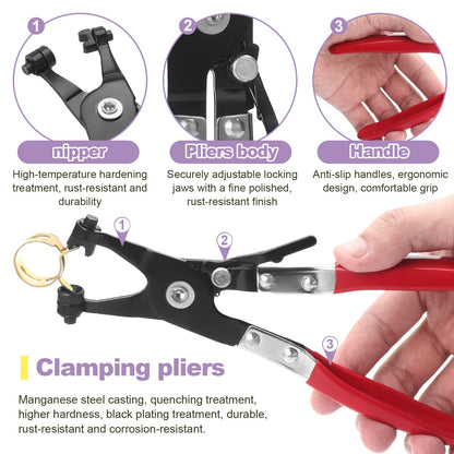 260 pieces of hose spring clamp in 12 sizes fuel line hose clamps hose clip hose clamps closure fuel line clamp 6-25mm, with a hose clamp pliers.