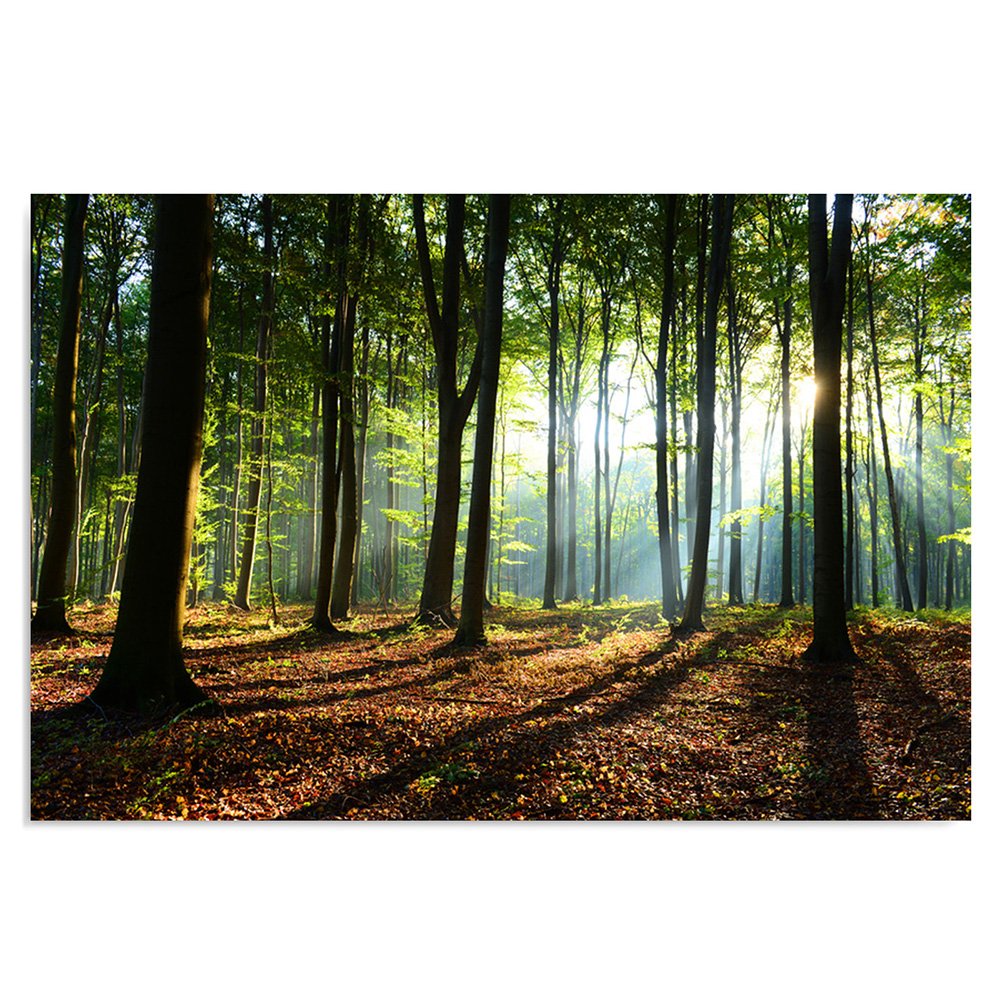 Feeby fleece canvas picture Sunbeams In The Forest 120x80 cm Wall Art Print Home Decor Living Room Apartment Decor Nature Trees Green